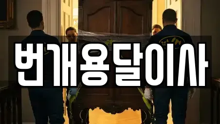 번개용달이사