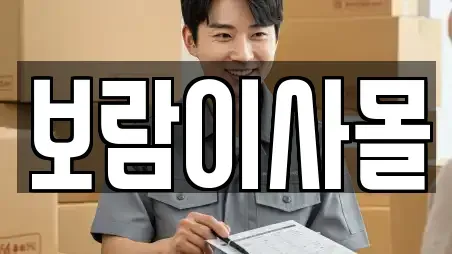 보람이사몰