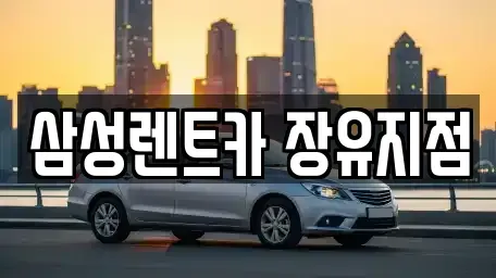 부산 강서구 단기렌트카 전문 삼성렌트카 장유지점