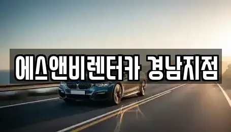 부산 강서구 단기렌트카 전문 에스앤비렌터카 경남지점