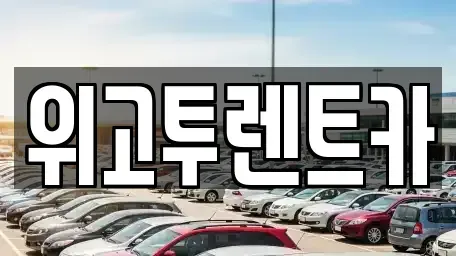 부산 강서구 단기렌트카 전문 위고투렌트카