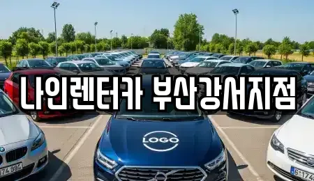 부산 강서구 렌트카 전문 나인렌터카 부산강서지점