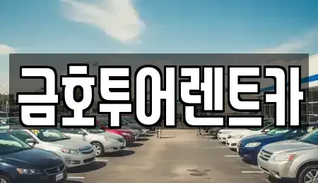 부산 강서구 장기렌트카 전문 금호투어렌트카