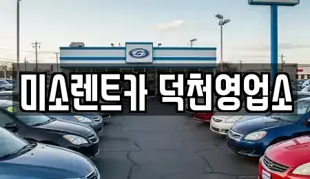 부산 강서구 장기렌트카 전문 미소렌트카 덕천영업소