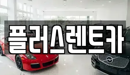 부산 강서구 장기렌트카 전문 플러스렌트카