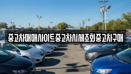 부산 강서구 중고차 전문 중고차매매사이트중고차시세조회중고차구매