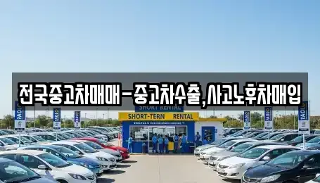 부산 서구 동대신동2가 중고차 전문 전국중고차매매-중고차수출,사고노후차매입