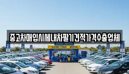 부산 서구 동대신동2가 중고차매입 전문 중고차매입시세내차팔기견적가격수출업체