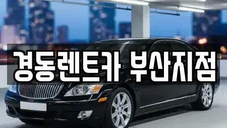 부산 수영구 망미동 단기렌트카,중고차매입,중고차매매,중고차,렌트카,장기렌트카