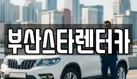 부산 수영구 망미동 렌트카 전문 부산스타렌터카