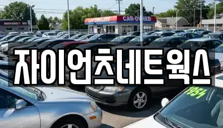 부산 수영구 망미동 장기렌트카 전문 자이언츠네트웍스