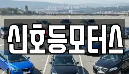 부산 수영구 망미동 중고차매매 전문 신호등모터스