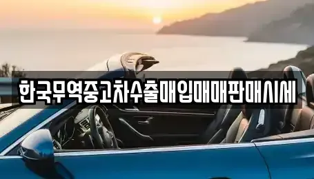 부산 수영구 망미동 중고차매입 전문 한국무역중고차수출매입매매판매시세