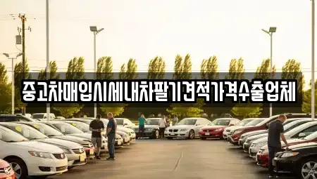 부산광역시 강서구 동선동 단기렌트카,중고차매입,중고차매매,중고차,렌트카,장기렌트카