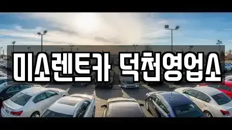 부산광역시 강서구 장기렌트카 전문 미소렌트카 덕천영업소