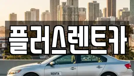 부산광역시 강서구 장기렌트카 전문 플러스렌트카