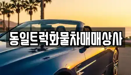 부산광역시 강서구 중고차매매 전문 동일트럭화물차매매상사