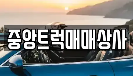 부산광역시 강서구 중고차매매,단기렌트카,중고차매입,장기렌트카,중고차,렌트카