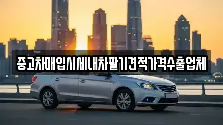 부산광역시 강서구 중고차매입 전문 중고차매입시세내차팔기견적가격수출업체