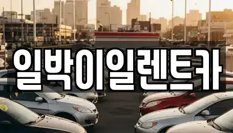 부산광역시 부산진구 개금동 렌트카 전문 일박이일렌트카