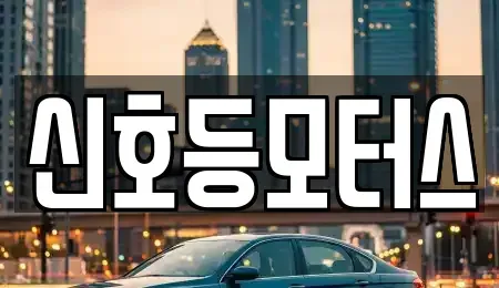 부산광역시 부산진구 개금동 중고차매매 전문 신호등모터스