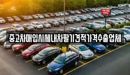 부산광역시 부산진구 개금동 중고차매입 전문 중고차매입시세내차팔기견적가격수출업체
