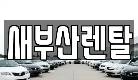 부산광역시 북구 만덕동 렌트카 전문 새부산렌탈