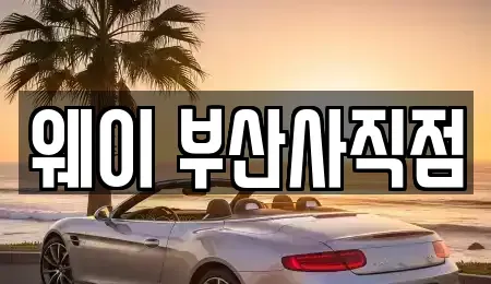 부산광역시 북구 만덕동 렌트카 전문 웨이 부산사직점