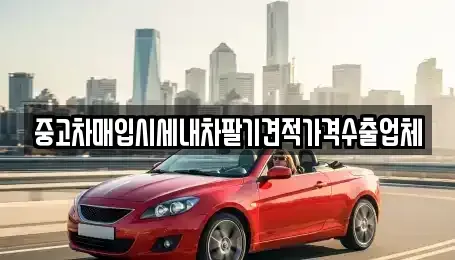 부산광역시 북구 만덕동 중고차매입 전문 중고차매입시세내차팔기견적가격수출업체