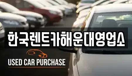 부산광역시 수영구 망미동 렌트카 전문 한국렌트카해운대영업소