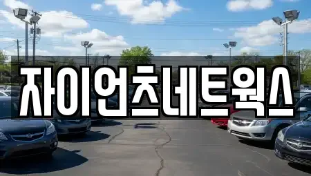 부산광역시 수영구 망미동 장기렌트카 전문 자이언츠네트웍스