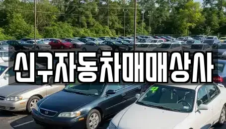 부산광역시 수영구 망미동 중고차매매 전문 신구자동차매매상사
