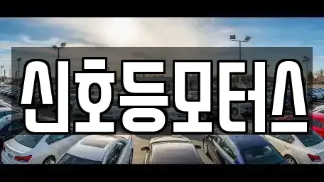 부산광역시 수영구 망미동 중고차매매 전문 신호등모터스