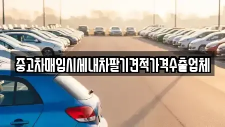 부산광역시 수영구 망미동 중고차매매 전문 중고차매입시세내차팔기견적가격수출업체