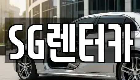 부산광역시 중구 광복동3가 렌트카 전문 SG렌터카