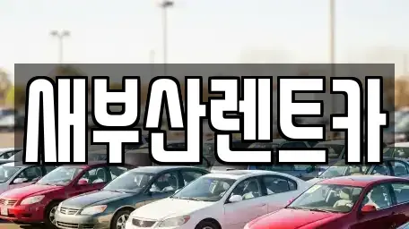부산광역시 중구 광복동3가 렌트카 전문 새부산렌트카