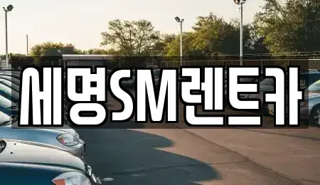 부산광역시 중구 광복동3가 렌트카 전문 세명SM렌트카
