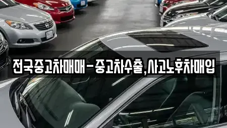 부산광역시 중구 광복동3가 중고차 전문 전국중고차매매-중고차수출,사고노후차매입
