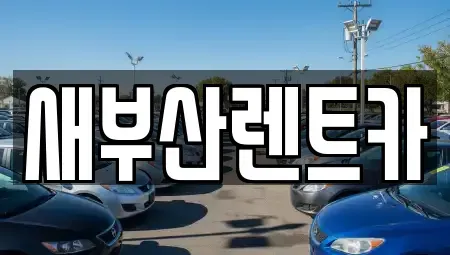 부산광역시 중구 창선동1가 렌트카 전문 새부산렌트카
