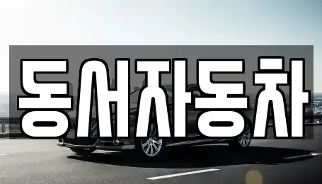 부산광역시 중구 창선동1가 중고차매매 전문 동서자동차
