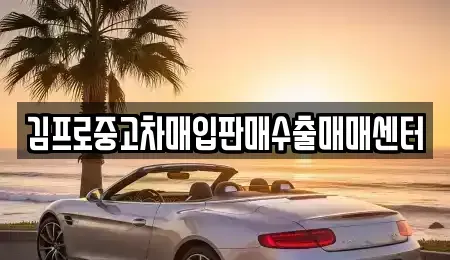 부산광역시 중구 창선동1가 중고차매입 전문 김프로중고차매입판매수출매매센터
