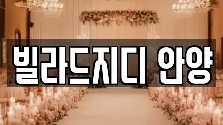 빌라드지디 안양