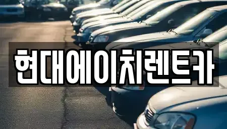 서울 강남구 도곡동 단기렌트카 전문 현대에이치렌트카