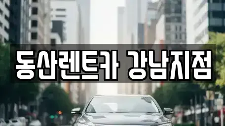 서울 강남구 도곡동 렌트카 전문 동산렌트카 강남지점