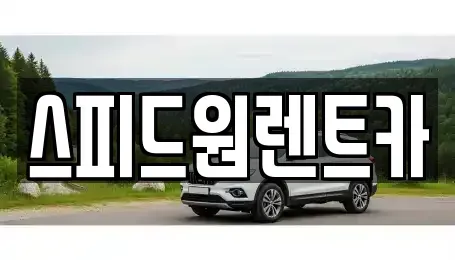서울 강남구 도곡동 렌트카 전문 스피드원렌트카