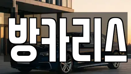서울 강남구 도곡동 장기렌트카 전문 방카리스