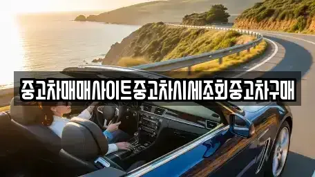 서울 강남구 도곡동 중고차매매 전문 중고차매매사이트중고차시세조회중고차구매