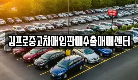 서울 강남구 도곡동 중고차매입 전문 김프로중고차매입판매수출매매센터