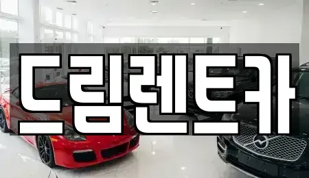 서울 강남구 압구정동 렌트카 전문 드림렌트카