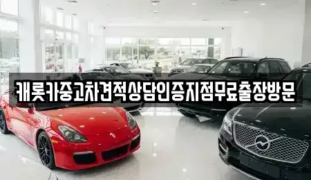 서울 강남구 압구정동 중고차매매 전문 캐롯카중고차견적상담인증지점무료출장방문